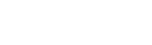 Sparvi Lab
